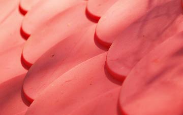 Newton Tony plastic roof costs